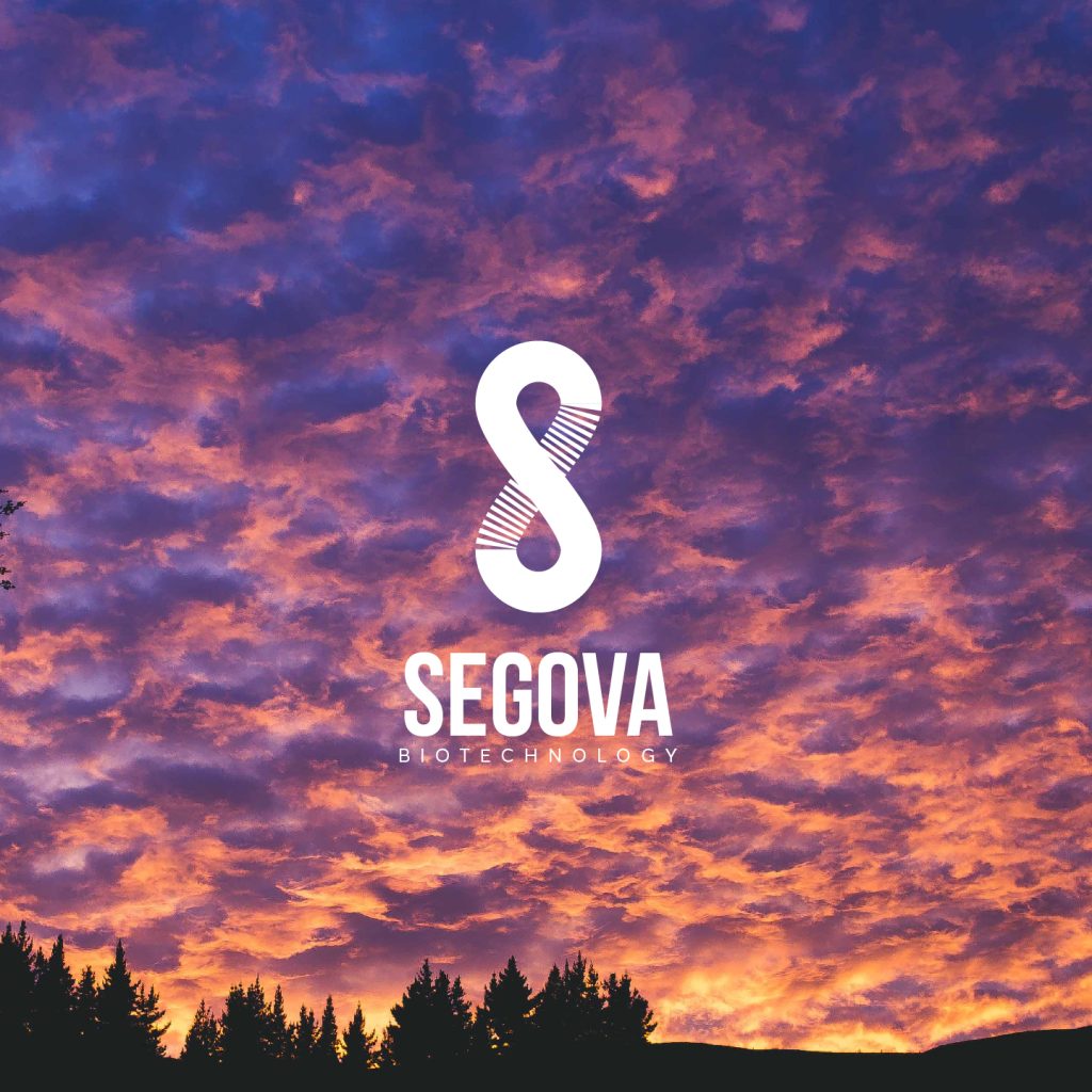 New Generation of the Segova method