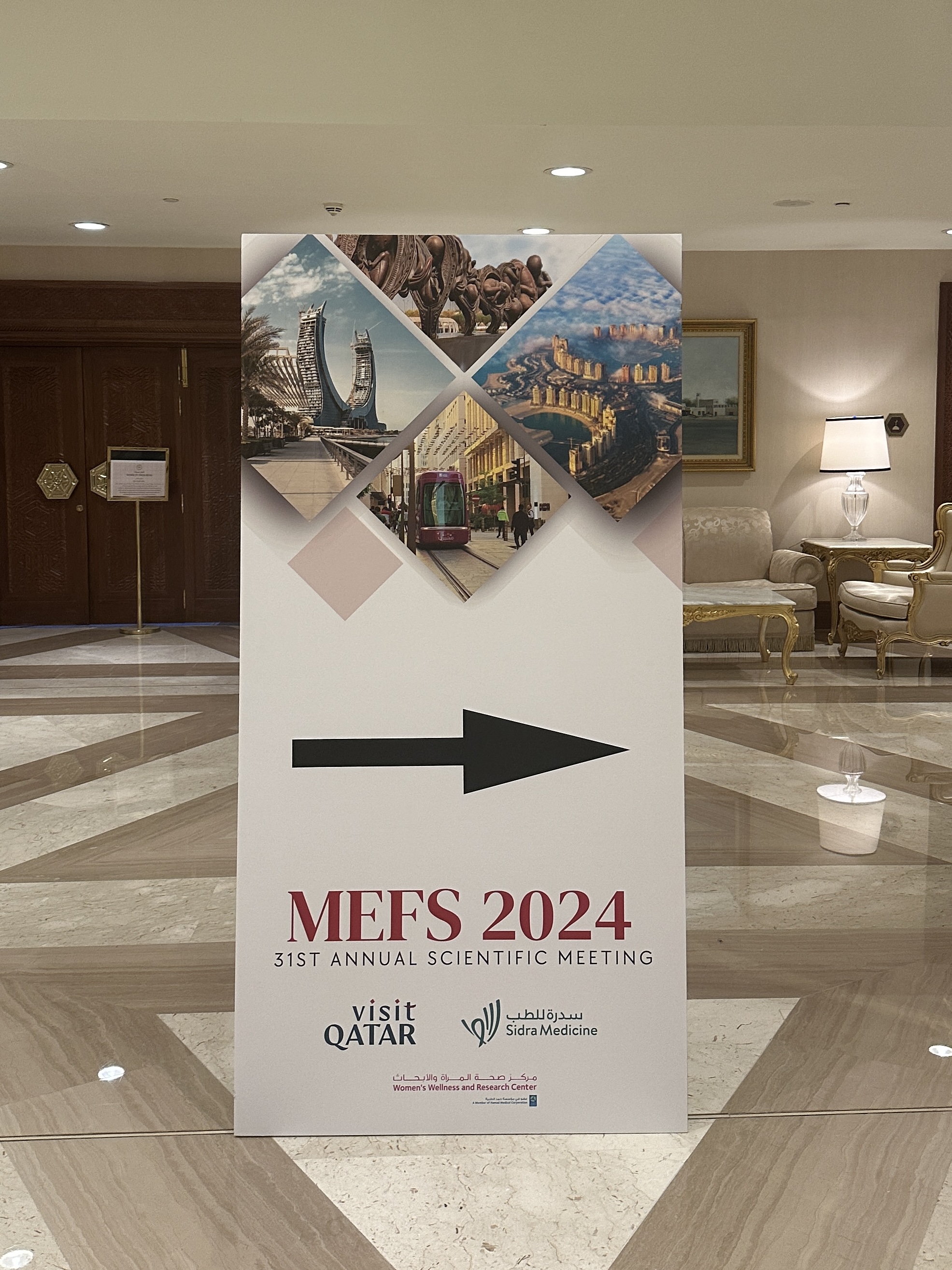 MEFS 2024