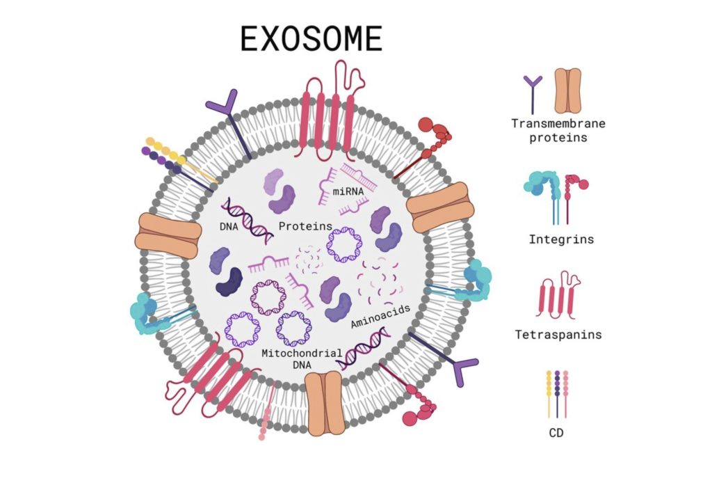 Exosome Therapy